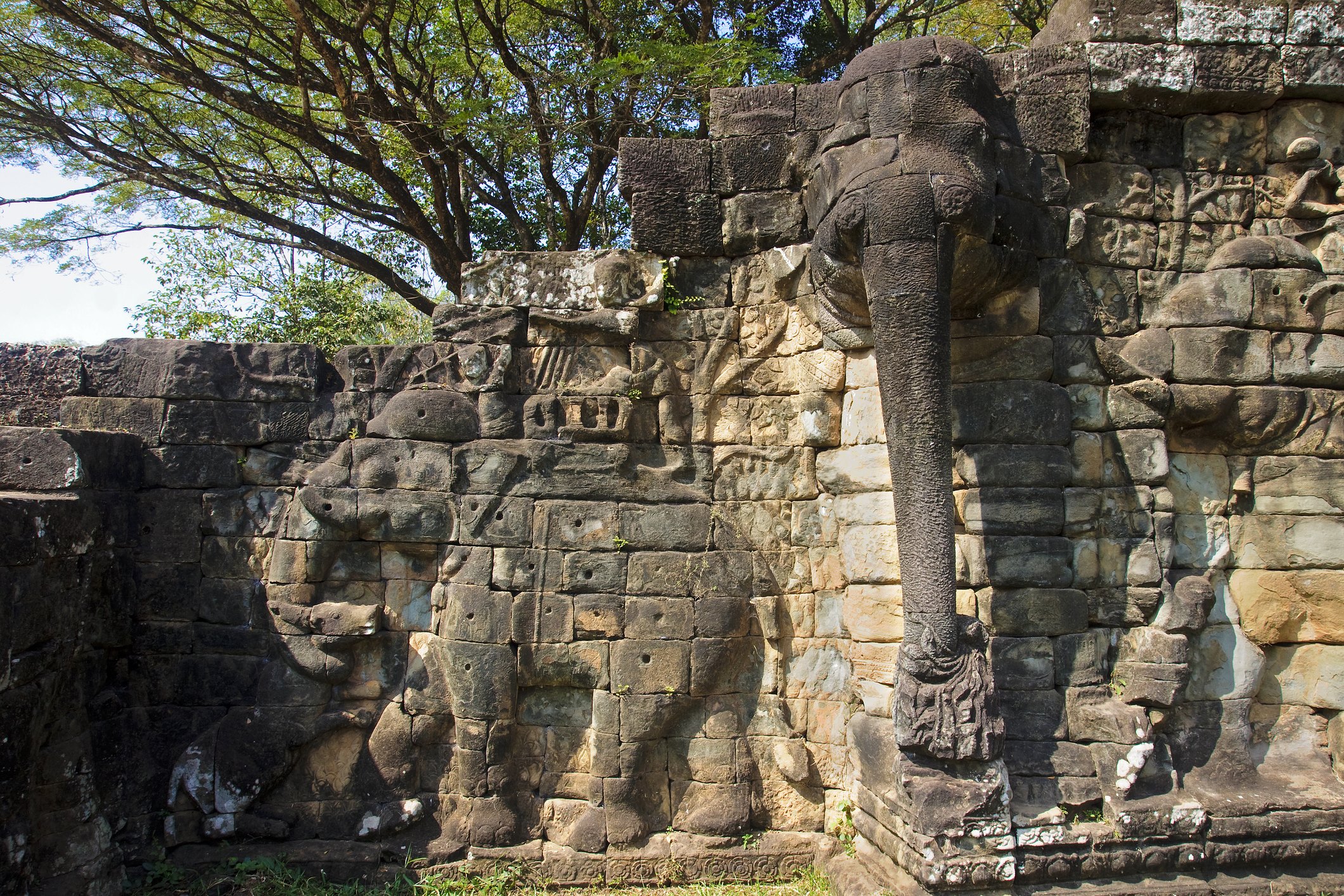 elephant-terraces elephant-terraces