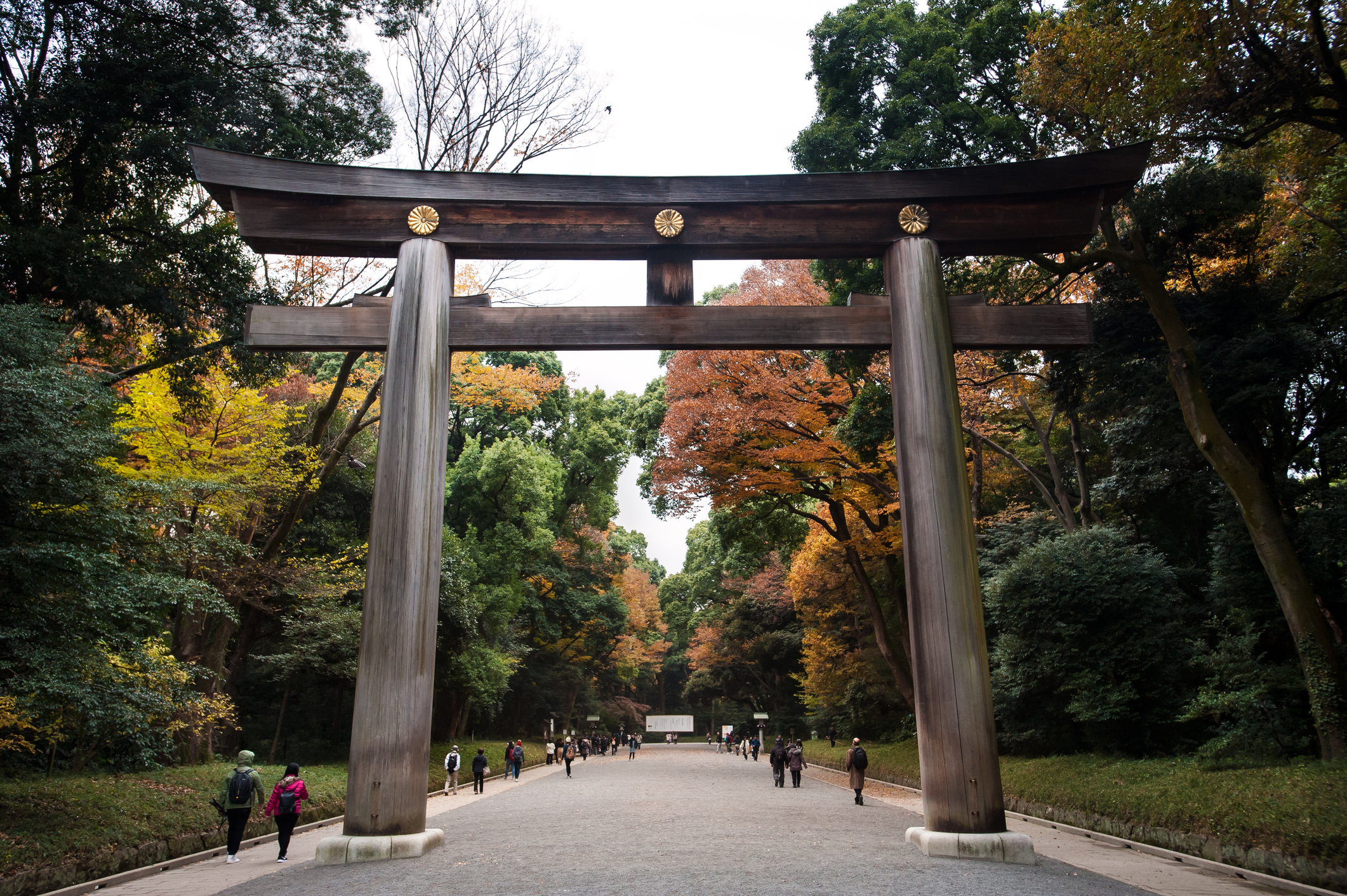 Large torii gate at the entrance to the Meiji Shrine, Shibuya, Tokyo, Japan Large torii gate at the entrance to the Meiji Shrine, Shibuya, Tokyo, Japan
