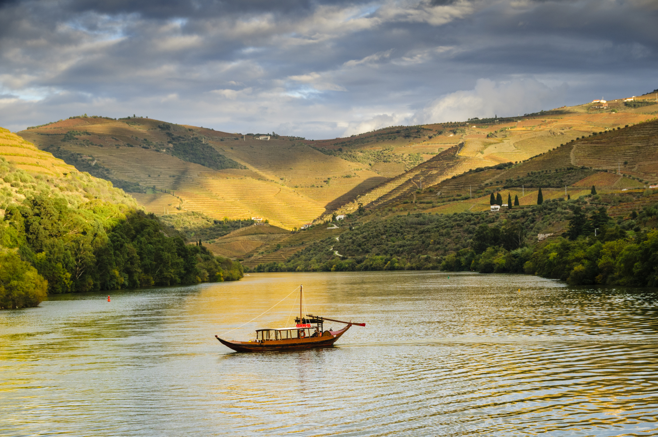 Boat cruising down river at sunset next to terraced vineyards