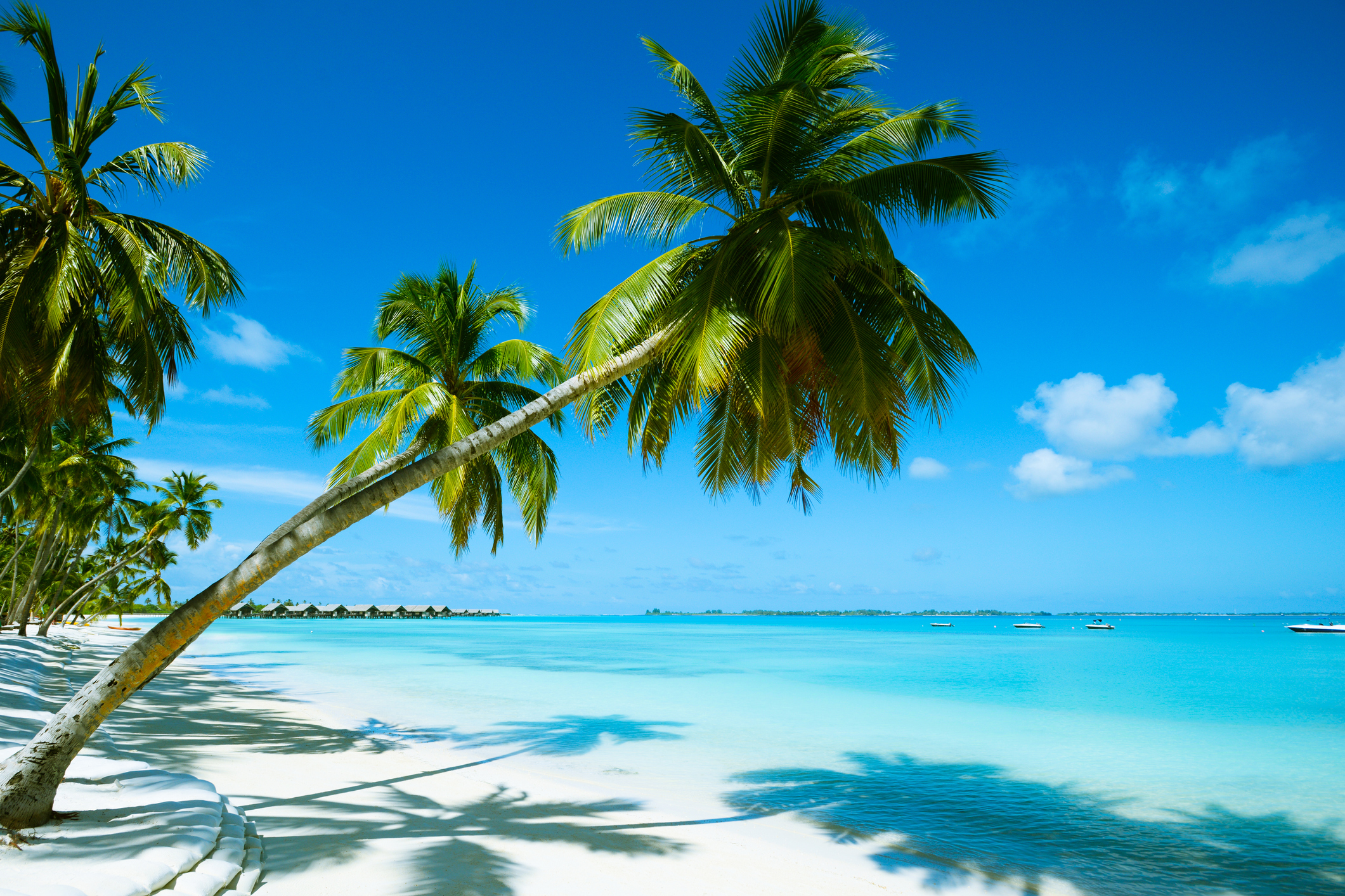 Beautiful Beach Resort Beautiful Beach Resort