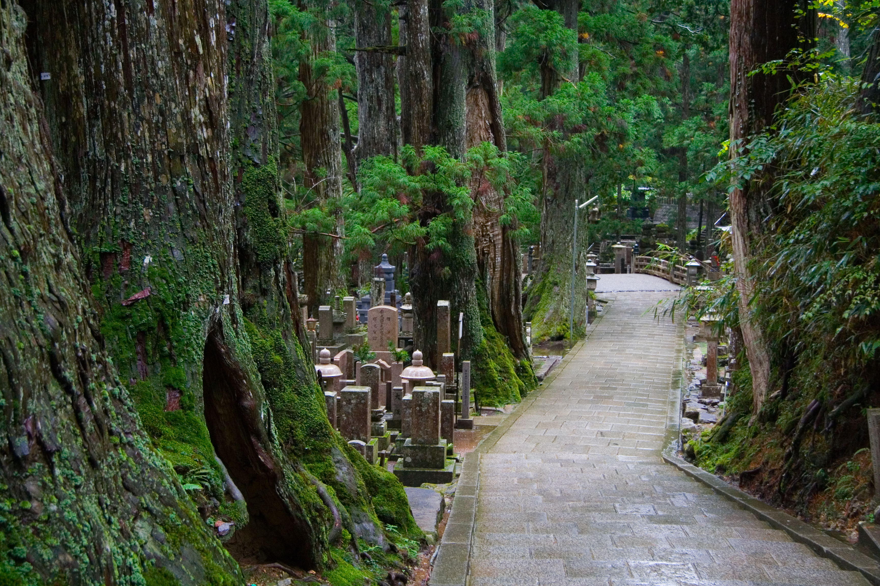 Path through Okunoin Cemetery Path through Okunoin Cemetery