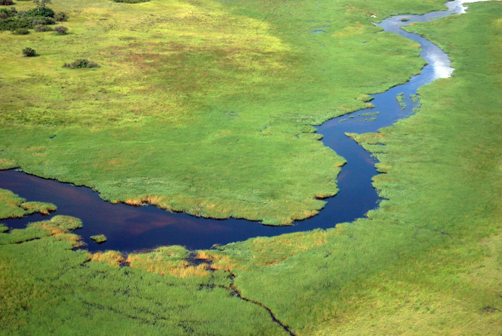 Aerial view of a river in the Okavango Delta Aerial view of a river in the Okavango Delta
