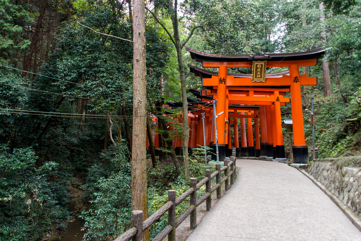 Red Torii gates at Fushimi Inari Shrine Red Torii gates at Fushimi Inari Shrine