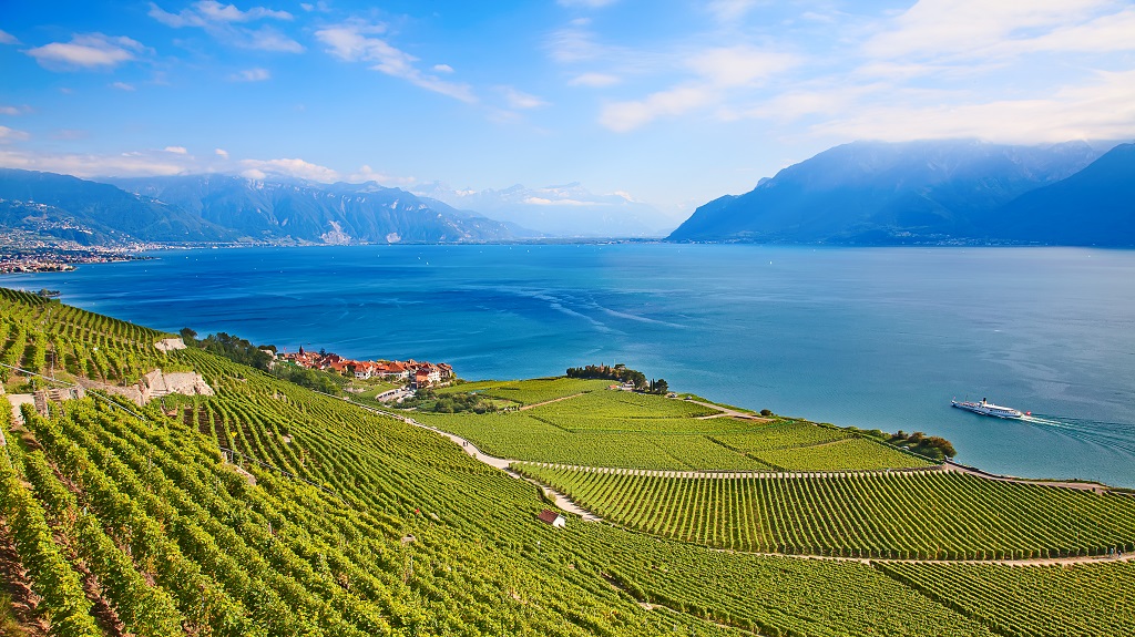 Lavaux region Lavaux region