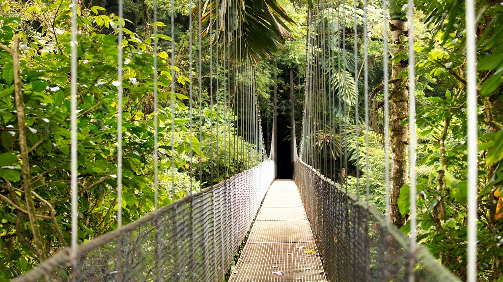 Hanging Bridge, Mistico Arenal Hanging Bridges Park,  Costa Rica