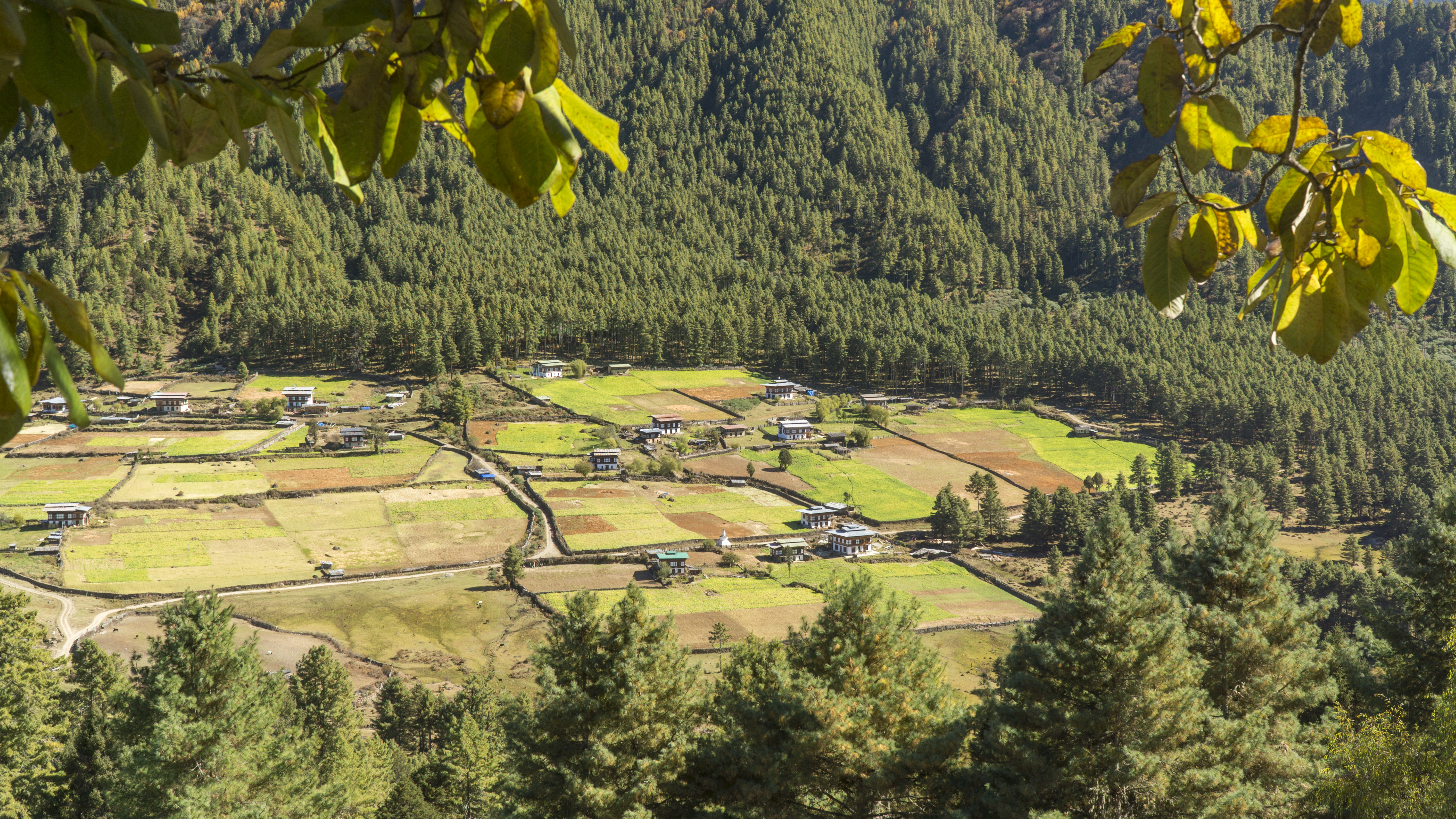 Phobjikha Valley. Kingdom of Bhutan Phobjikha Valley. Kingdom of Bhutan