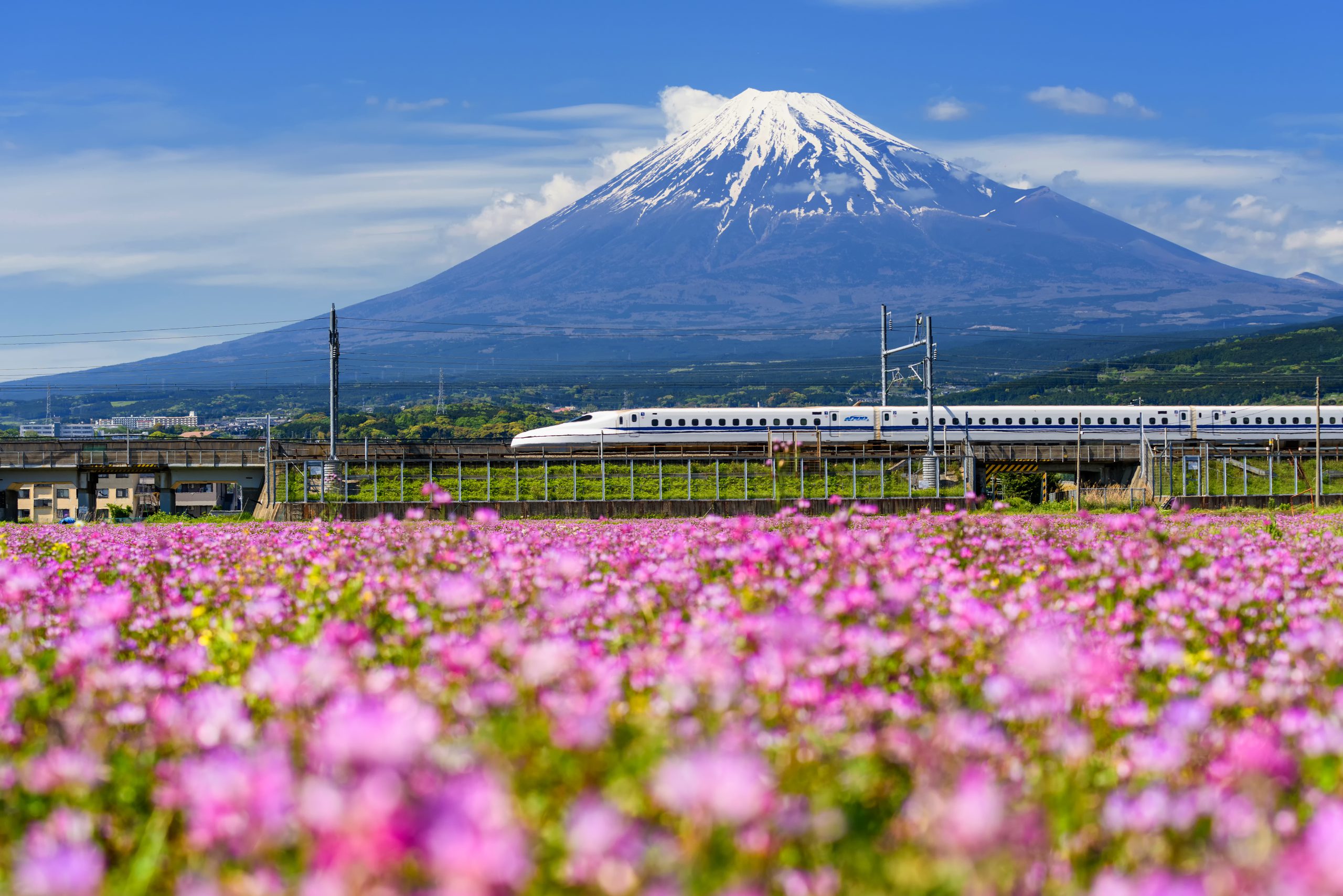 Shinkansen bullet train pass Mountain fuji Shinkansen bullet train pass Mountain fuji