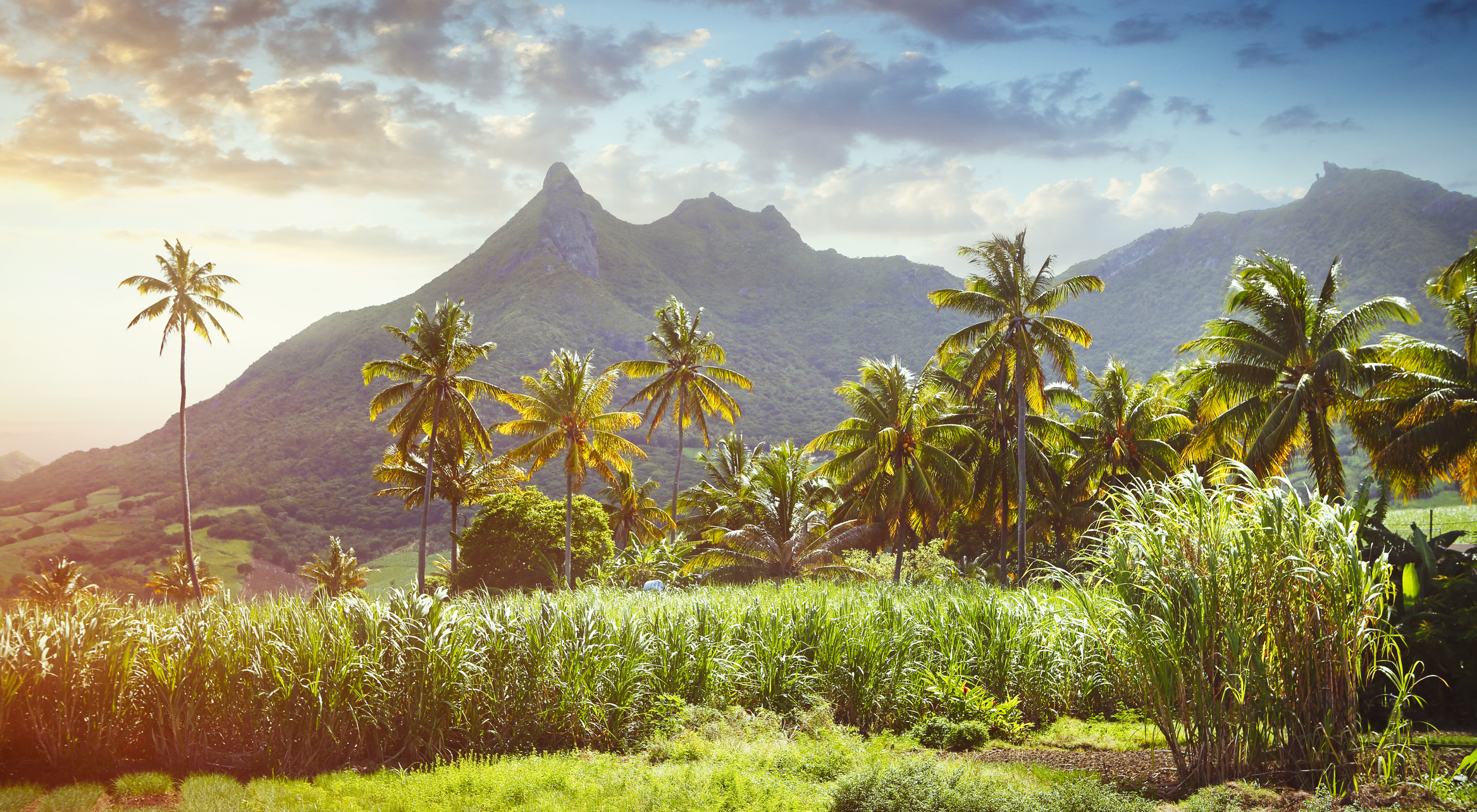 Panoramic view of Mauritius