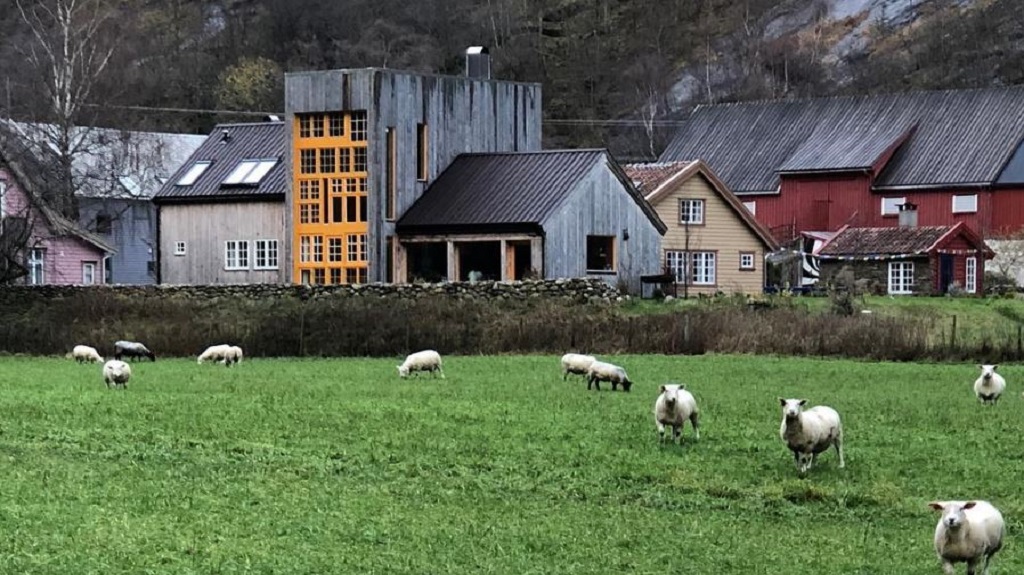 goats-at-the-292-aurland goats-at-the-292-aurland