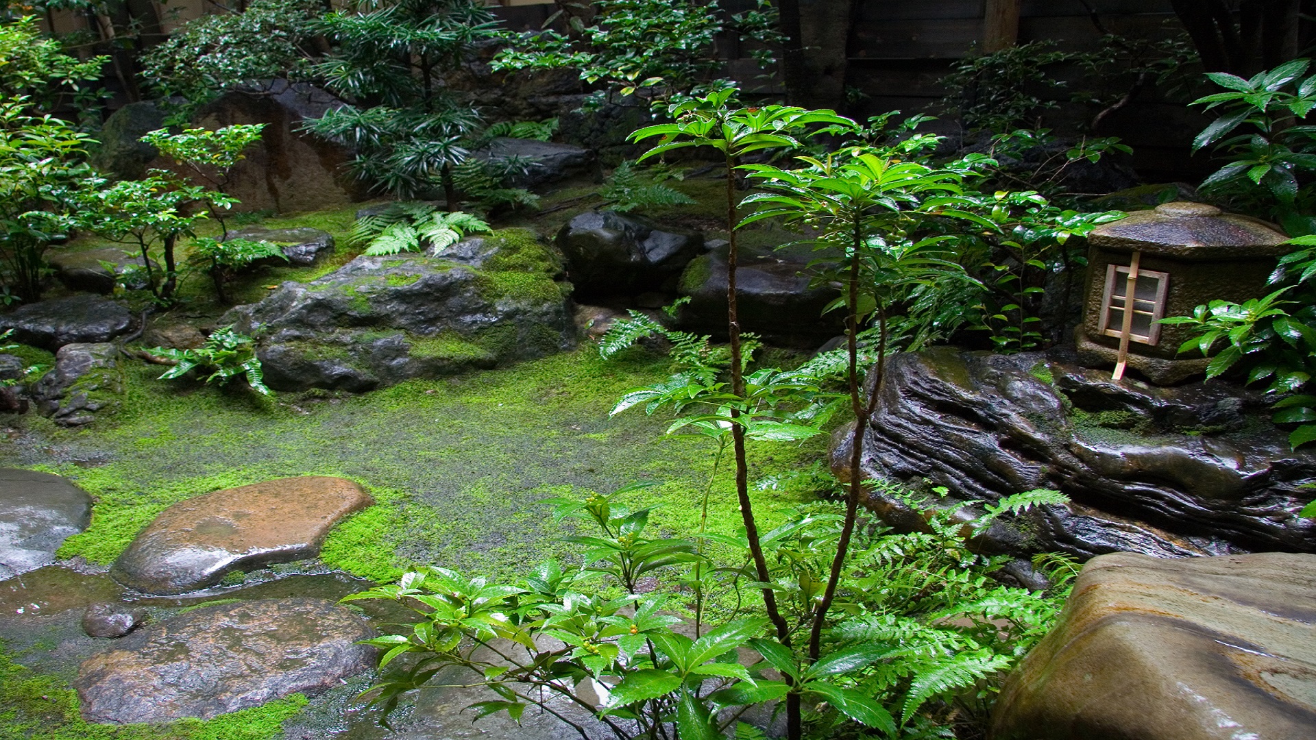 Japanese Garden Japanese Garden