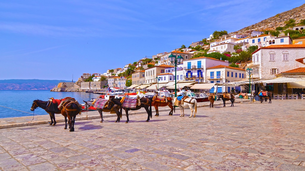 donkeys the means of transport at Hydra island Saronic Gulf Greece