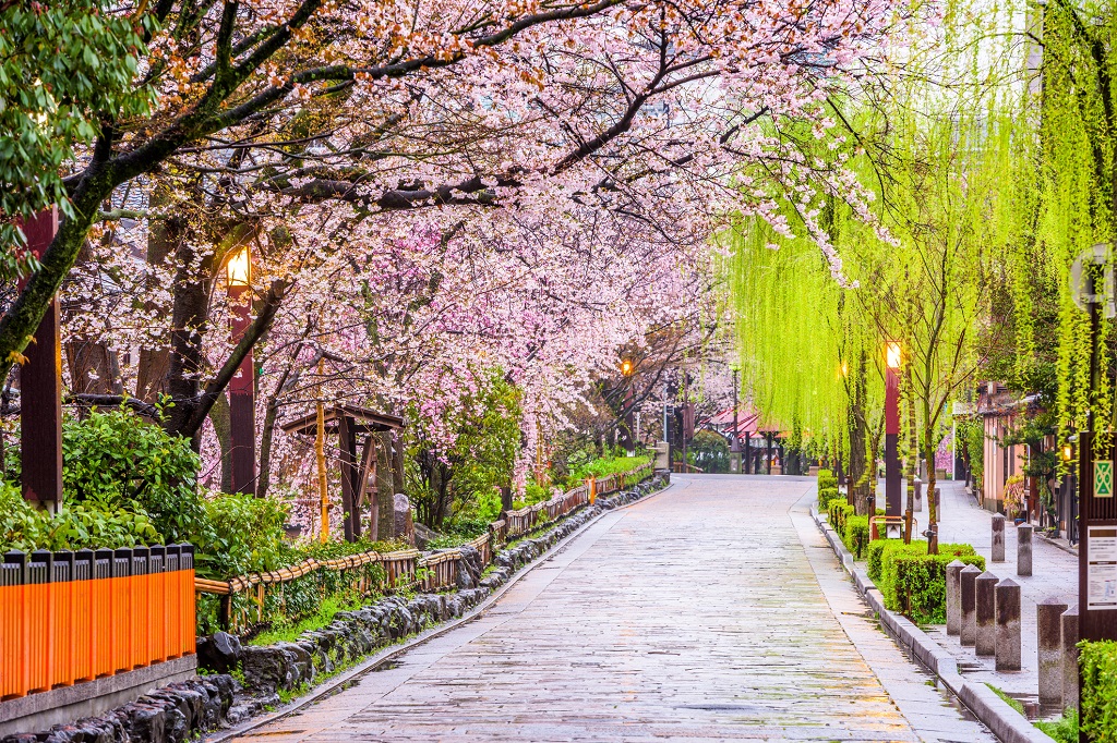 Kyoto in Spring Kyoto in Spring
