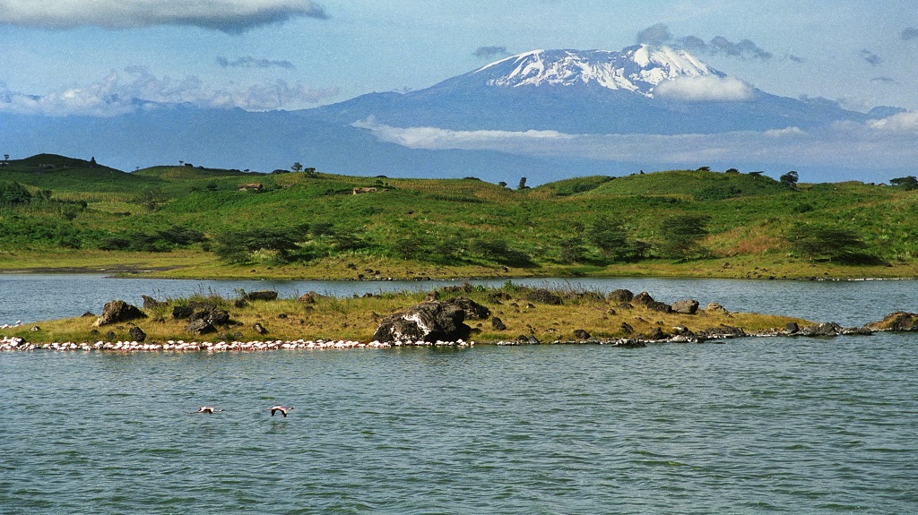 Flamingos on lake and Mount Killimanjaro Tanzania Flamingos on lake and Mount Killimanjaro Tanzania