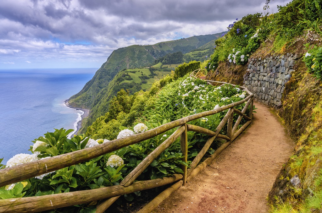 Hiking path along hydragenia and dramatic landscape near Nordeste, Sao Miguel (Azores)