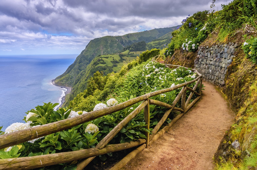 Hiking path along hydragenia and dramatic landscape near Nordeste, Sao Miguel (Azores) Hiking path along hydragenia and dramatic landscape near Nordeste, Sao Miguel (Azores)