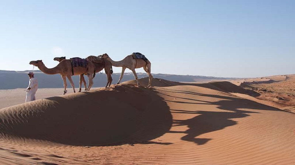 oman_camel-safari-1-resize