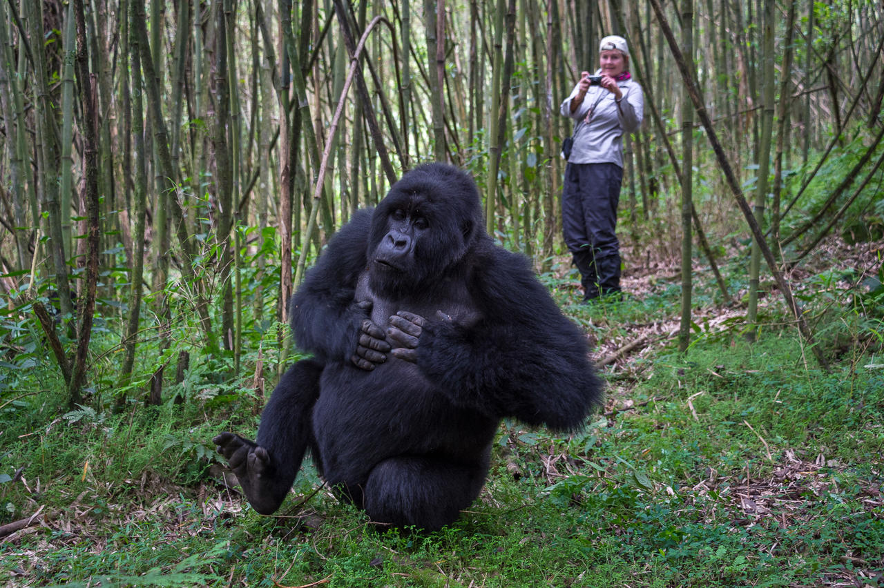 rwanda-308e rwanda-308e