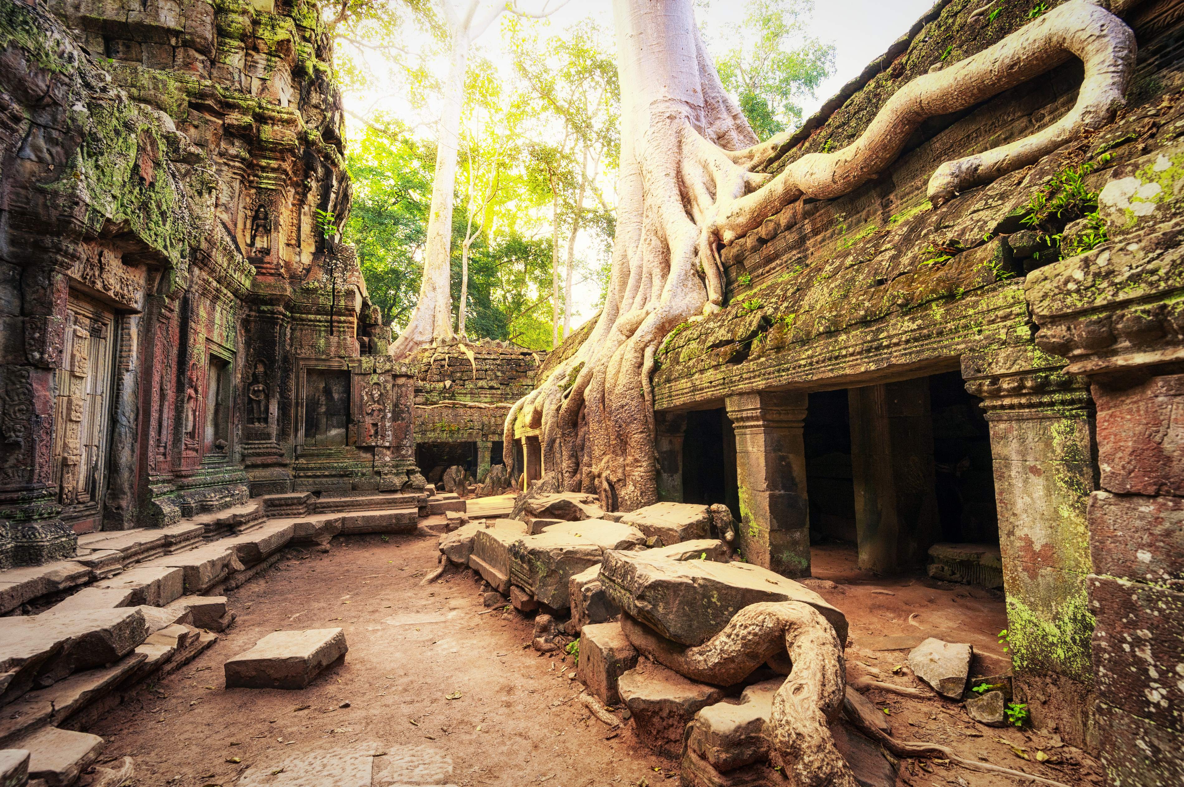 ta-prohm-5 ta-prohm-5