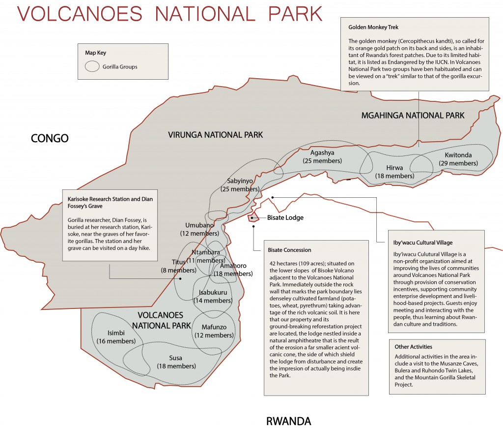 work_rwanda_map_gorillas_for_web_png work_rwanda_map_gorillas_for_web_png